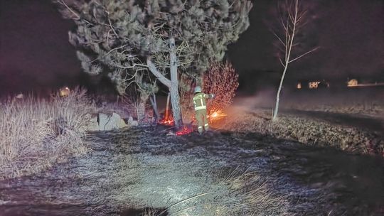 Pożar trawy we Wroninie. Strażacy ostrzegają przed skutkami wypalania Pożar trawy we Wroninie. Strażacy ostrzegają przed skutkami wypalania