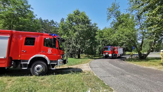 Pożar w lesie na osiedlu Blachownia. Strażacy apelują o rozwagę
