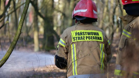 Pożar w lesie na Pogorzelcu