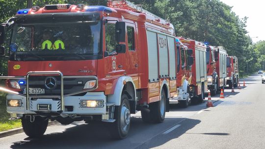 Pożar w lesie. Paliła się ściółka, a obok leżały materace