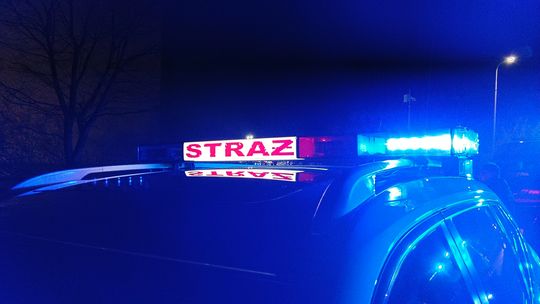 Pożar w lesie. Prawdopodobnie to kolejne podpalenie