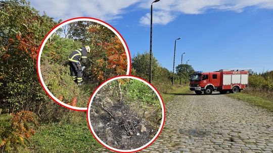 Pożar w Polskiej Cerekwi. Paliły się kable