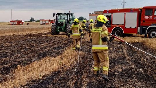 Pożar zboża na pniu – szybka reakcja służb zapobiegła tragedii. ZDJĘCIA Pożar zboża na pniu – szybka reakcja służb zapobiegła tragedii. ZDJĘCIA