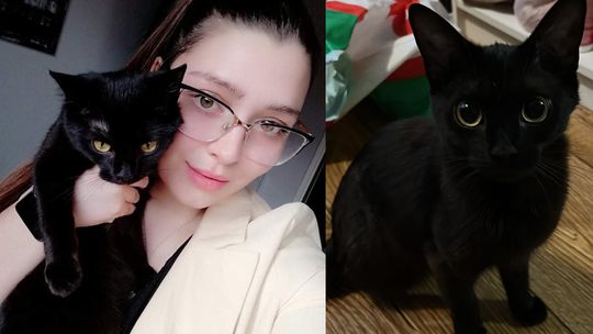 Poznajcie historię Buki - psotnej kotki z alei Partyzantów