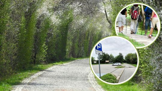 Pro Corde zaprasza na spacer wokół Dębowej z okazji Światowego Dnia Serca. Będzie piknik i prezenty