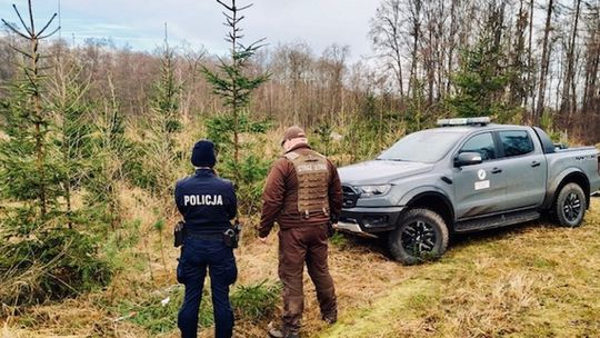 Przedświąteczna akcja „Stroisz”. Policjanci kontrolują lasy i miejsca sprzedaży choinek Przedświąteczna akcja „Stroisz”. Policjanci kontrolują lasy i miejsca sprzedaży choinek