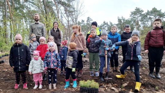 Przedszkolaki z miejscowości Maciowakrze sadziły las! ZDJĘCIA