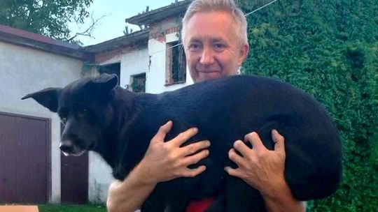 Przejechał 25000 km, żeby odnaleźć ukochanego psa. Niunia odnalazła się w Zakrzowie
