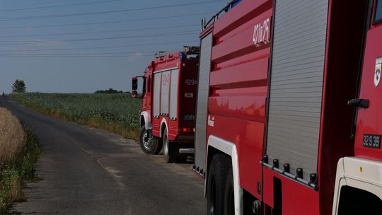 Przyczyną pożaru była zerwana linia wysokiego napięcia