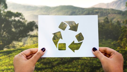 Recykling, czym jest i dlaczego warto robić