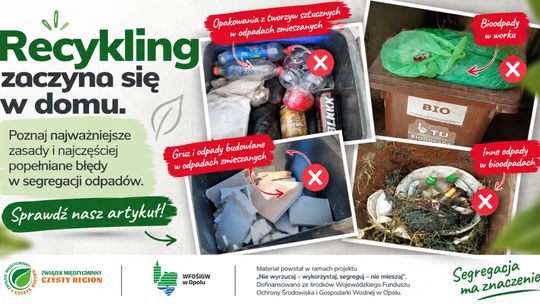 Recykling zaczyna się w domu. Poznaj najważniejsze zasady i najczęściej popełniane błędy w segregacji odpadów