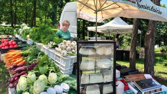 Regionalne specjały prosto od producentów w Kędzierzynie-Koźlu