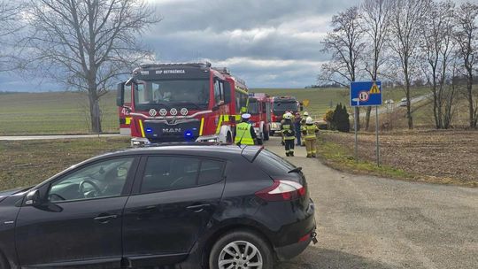 Renault w rowie. Na miejscu wszystkie służby ratunkowe