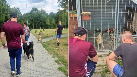 Resocjalizacja na spacerze. Pomoc dla schroniska, lekcja dla osadzonych