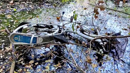 Rower miejski wylądował w leśnym jeziorku na os. Blachownia. FILM