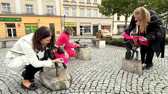 Różowa profilaktyka w Kędzierzynie-Koźlu - miejskie koziołki w szaliczkach przypominają o badaniach