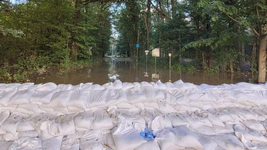 Rozstrzygnięto przetarg na budowę wału nad Odrą Lasaki – Poborszów Rozstrzygnięto przetarg na budowę wału nad Odrą Lasaki – Poborszów