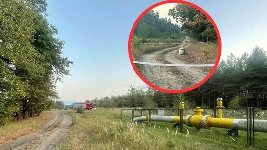 Rozszczelnienie gazociągu. Zapach był wyczuwalny w lesie