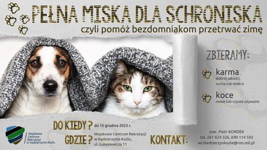 Ruszyła akcja "Pełna miska dla schroniska"