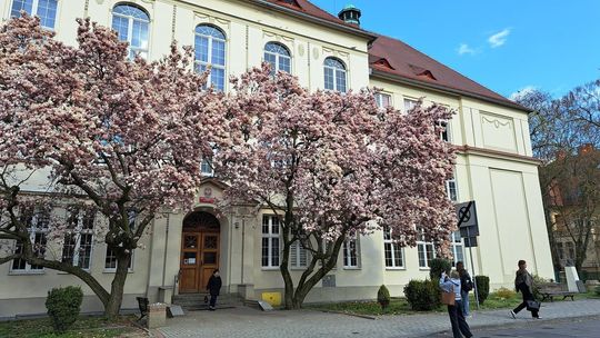 Ruszyła rekrutacja do szkoł średnich w Kędzierzynie-Koźlu