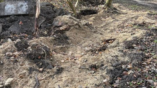 Ruszyła rewitalizacja sławięcickiego parku. Czy nadzór konserwatorski trzyma rękę na pulsie?