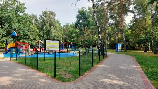 Sabina Nowosielska zareagowała na wpis fundacji o wycince drzew w Parku Orderu Uśmiechu
