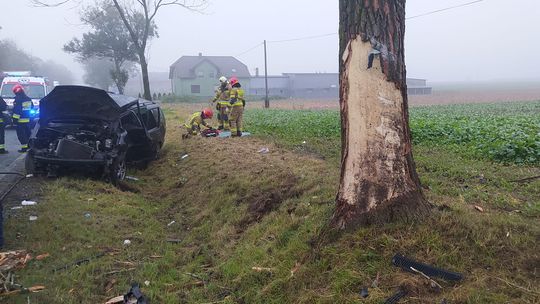 Samochód uderzył w drzewo. 18-letnia kierująca trafiła do szpitala