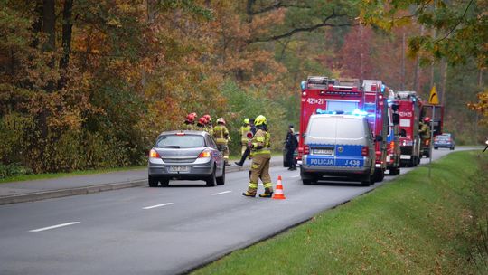 Samochód wypadł z drogi. Na miejscu wszystkie służby ratunkowe