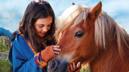 Seans filmu "Uwolnić Poly" w letnim kinie plenerowym