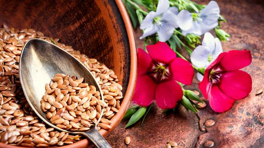 Siemię lniane- piękny wygląd i doskonałe zdrowie Siemię lniane- piękny wygląd i doskonałe zdrowie