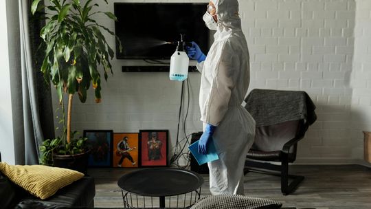 Skuteczne metody zwalczania szkodników: Zamgławianie ULV i Specjaliści od Pest Control