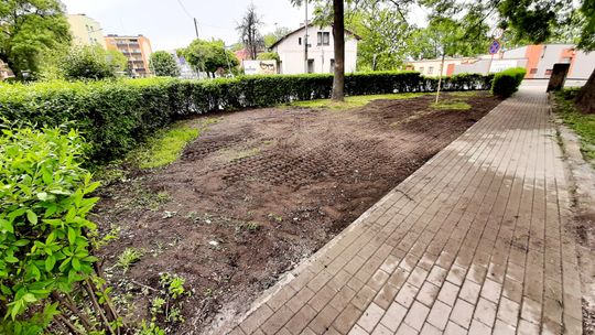 Skwerek na rogu ulic Gazowej i Piastowskiej wypięknieje
