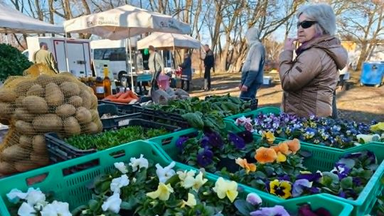 Smaki, które warto zabrać do domu. Straganik znów w Kędzierzynie!
