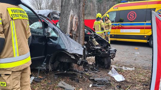 Śmiertelny wypadek w Cisowej. Samochód wbił się w drzewo