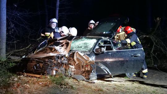 Sportowy Jaguar wypadł z drogi i skosił dwa drzewa. Kierowca trafił do szpitala