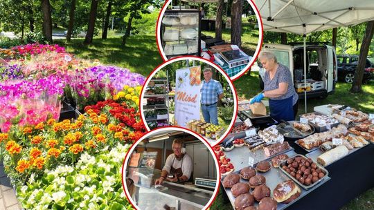 Straganek przy kinie Chemik już w czwartek. Będzie "Przystanek u Franka" oraz lokalni producenci