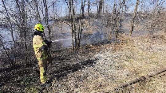 Strażacy apelują - nie wypalaj trawy!