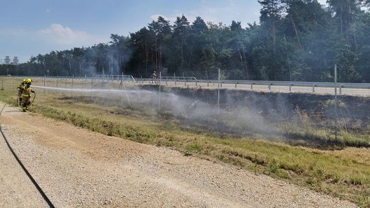 Strażacy gasili pożar trawy wzdłuż nowej obwodnicy