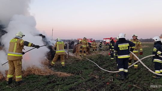 Strażacy gasili stertę słomy na polu w Reńskiej Wsi