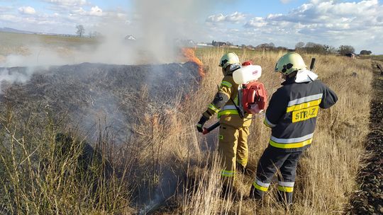 Strażacy interweniowali w Pokrzywnicy. Palił się nasyp kolejowy