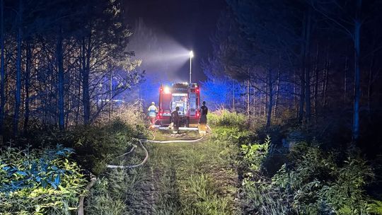 Strażacy podsumowali pożar lasu. W działaniach brały udział siły z całego powiatu