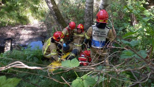 Strażacy szkolili się w terenie - w trudno dostępnych miejscach