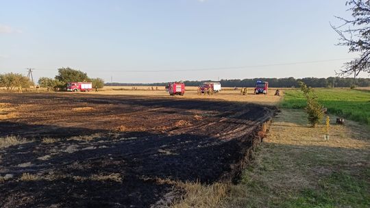 Strażacy z Kędzierzyna-Koźla walczyli z pożarem w Dobieszowicach