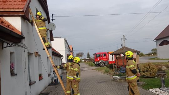 Strażacy z OSP Większyce zabezpieczyli zerwany światłowód