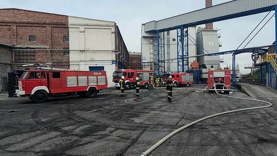Strażacy zorganizowali triaż i udzielali KPP poszkodowanym