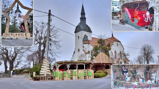 Świąteczna szopka od Wigilii do Trzech Króli. W obsadzie osiołki, alpaki, koza i… drewniane renifery. ZDJĘCIA