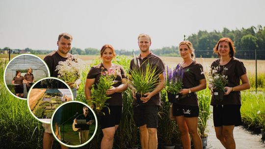 Święto Traw Ozdobnych w GARDEO. Bogaty program, strefa relaksu i ryneczek ze swojskimi specjałami