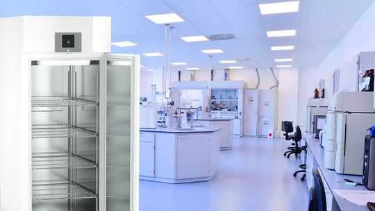 Szafy chłodnicze w gastronomii i branży medycznej