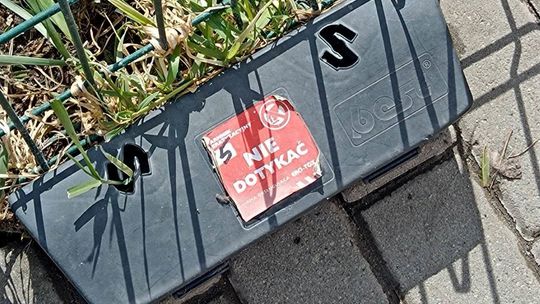 Szczury nie znikną same. Obowiązkowa deratyzacja w Kędzierzynie-Koźlu