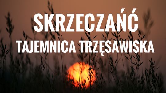 Szwedzkich żołnierzy pochłonęły ciseckie bagna. FILM